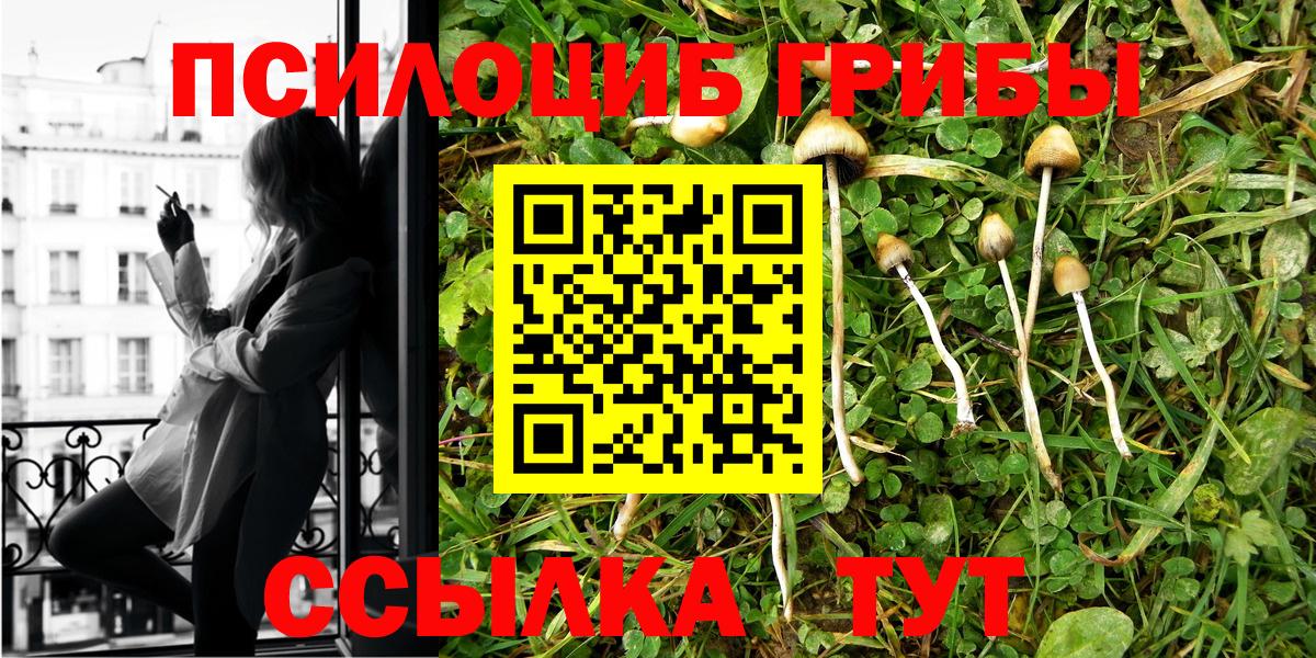 Галлюциногенные грибы MAGIC MUSHROOMS  Вход с VPN  Оренбург  Псилоцибиновые грибы мухоморы 